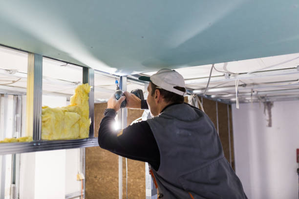 Best Home Insulation Services  in White City, FL