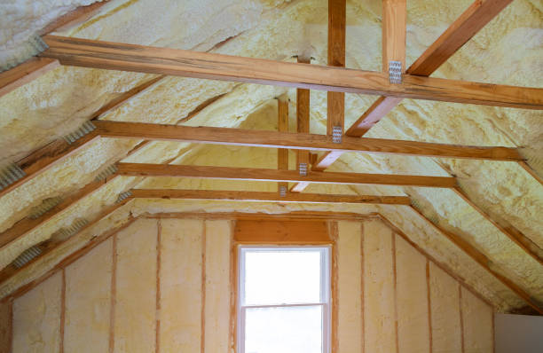 Best Local Insulation Services  in White City, FL