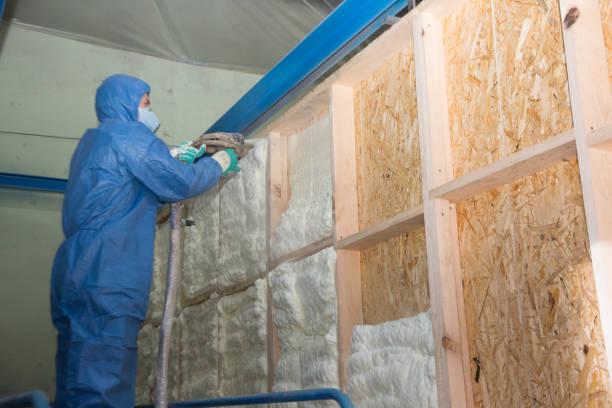 Best Residential Insulation Services  in White City, FL