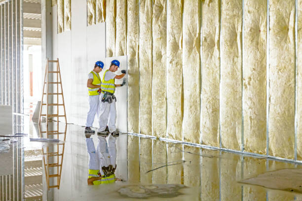 Best Spray Foam Insulation  in White City, FL